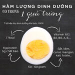 Thành phần dinh dưỡng trong trứng gà